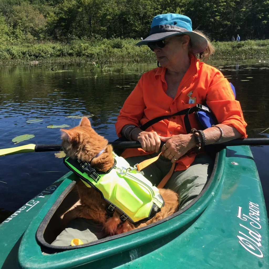 How to teach a cat to kayak – Miki's Picks